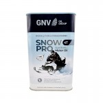 Моторное масло GNV Snow Pro 4T, 1л